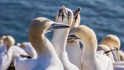 九游登录入口-体育课程多元化改革对学生学习成效的影响，体育多元化的好处