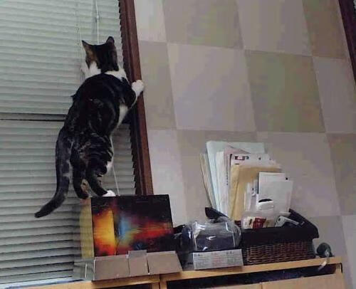 人工智能辅助电竞训练，提高选手竞技水平，训练人工智能打游戏