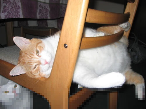 公益影像:明星运动员的慈善之旅,体育明星做公益