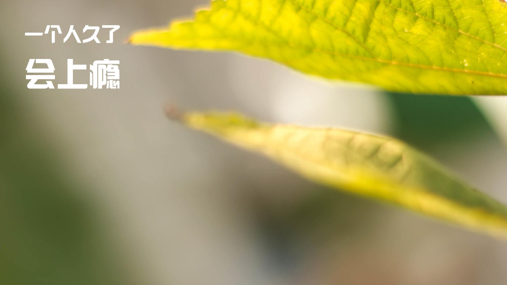 全国青少年“篮球文化体验周”在杭州精彩开启,推广体育文化,we game杭州青少年篮球俱乐部挑战赛