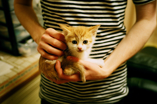 意大利马术协会推出马术运动员职业发展规划,促进人才培养。,意大利马具