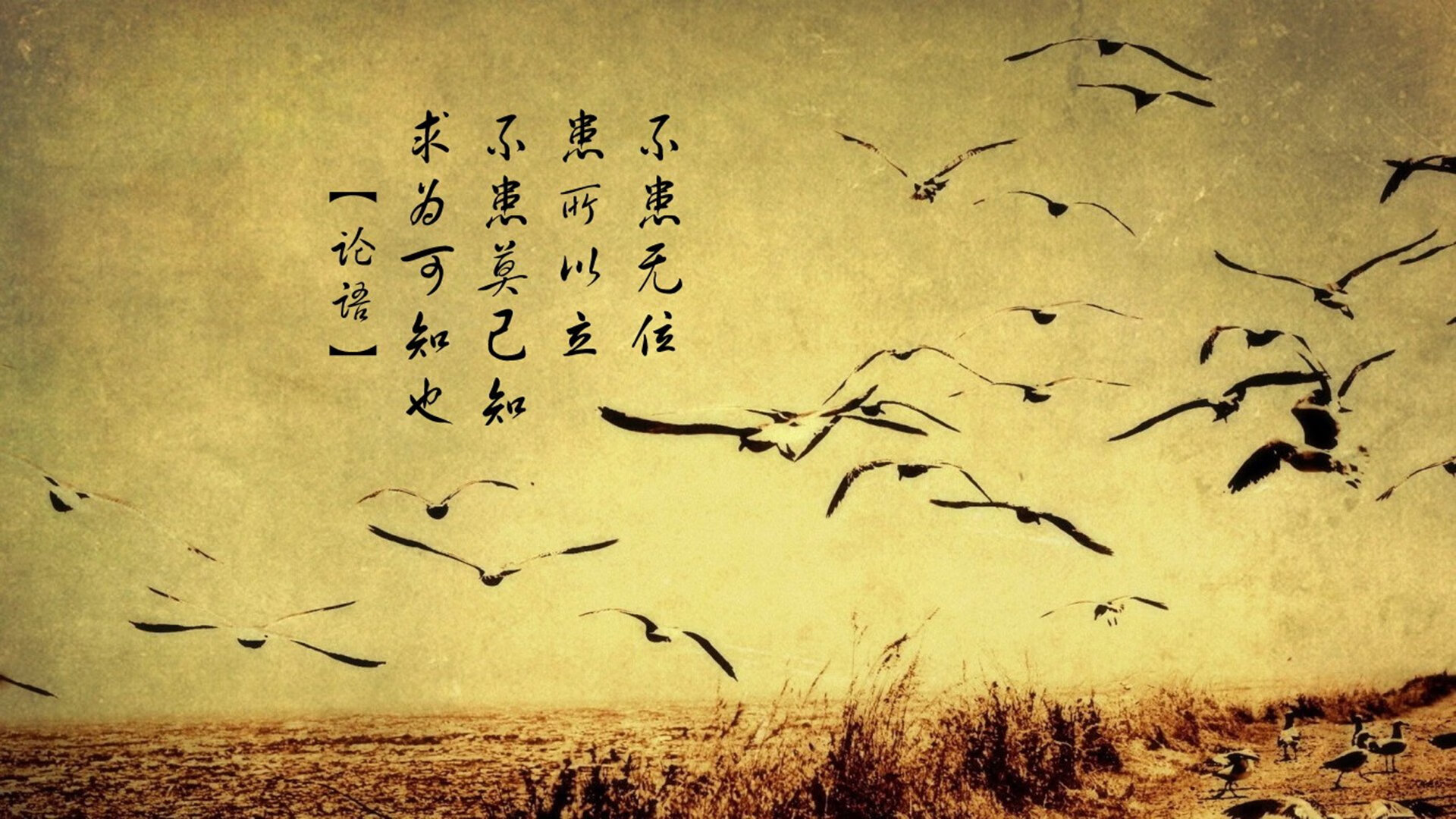 美国女足在巴黎奥运会比赛中以3-2战胜德国,美国女足奥运会预选赛