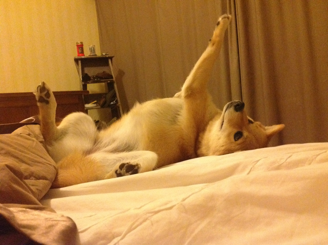 Jiu You-西甲足球文化深耕，推动多元化发展，西甲球队关系探究