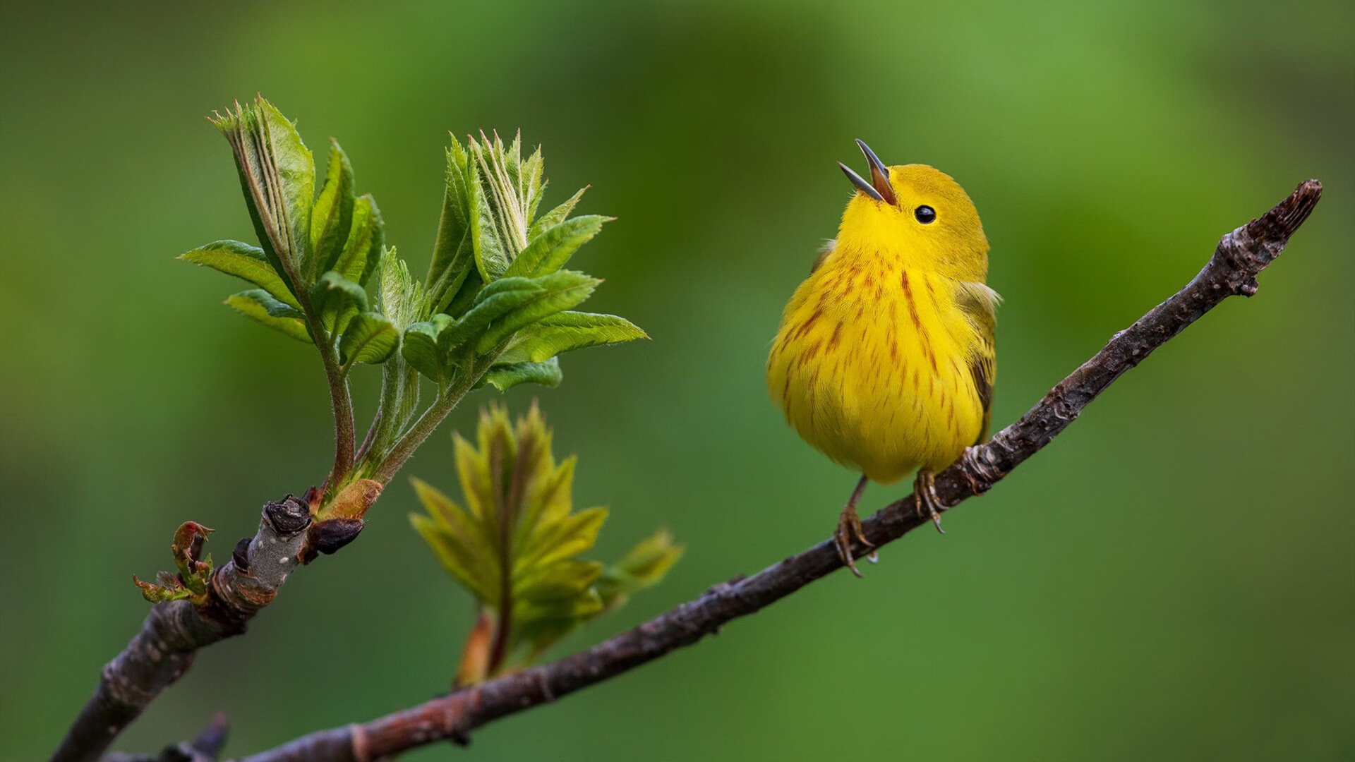 九游网页版入口-足球社交平台推出赛事话题挑战赛，足球聊天平台