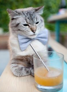 九游下载中心-青少年“拼搏之光”公益篮球巡讲在天津持续火热，激励青年追梦