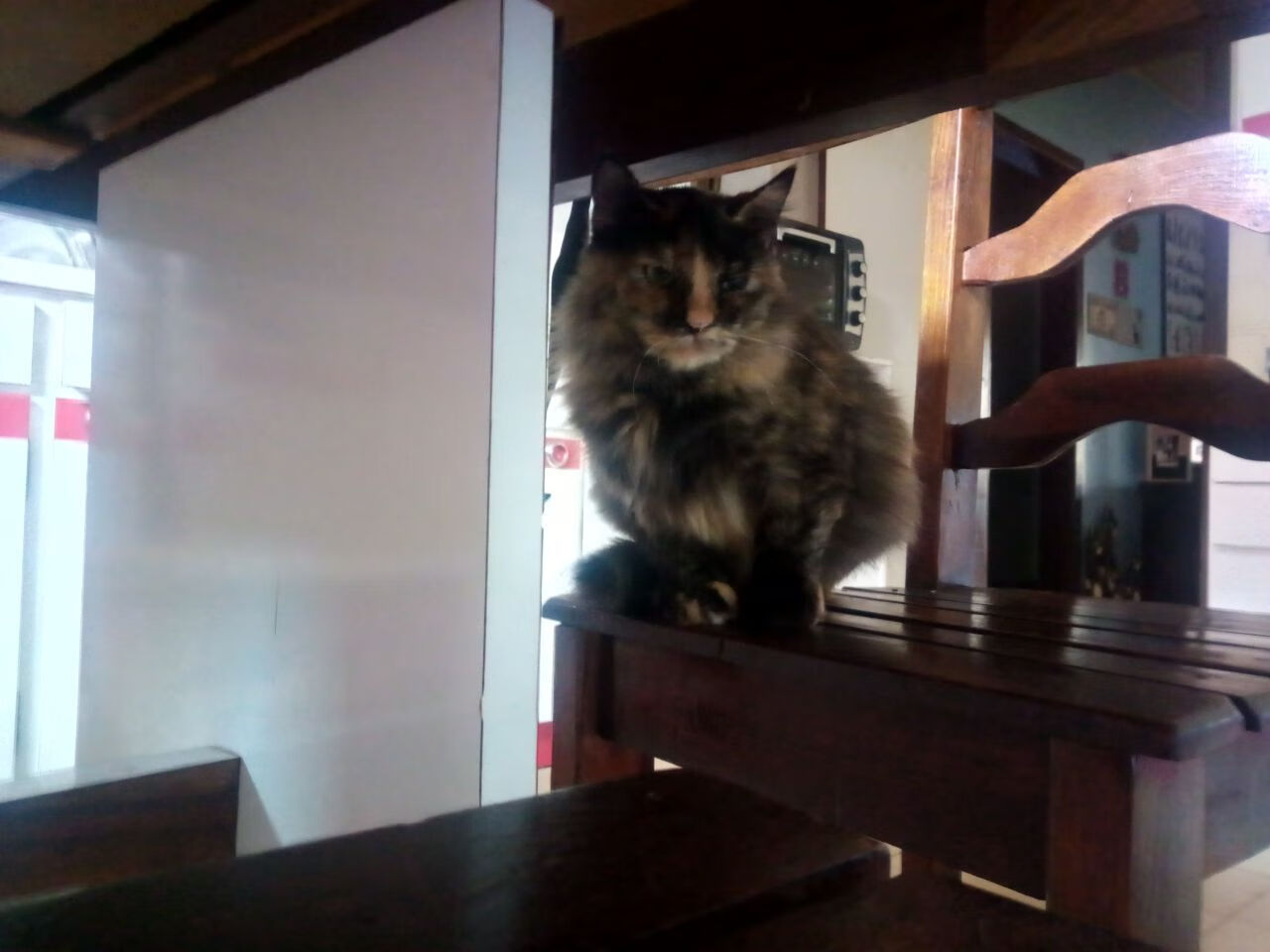 EDG选手心理素质培训加强