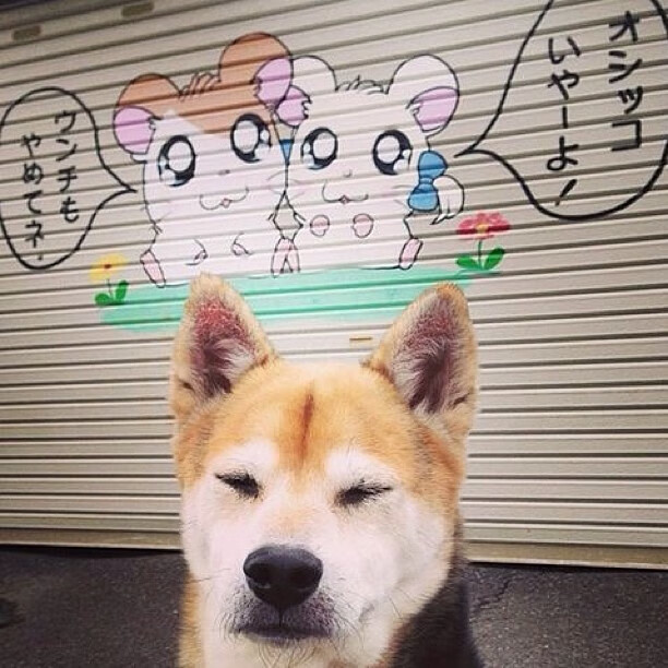 中超球队与外籍教练签约，引进先进理念，中超外国教练