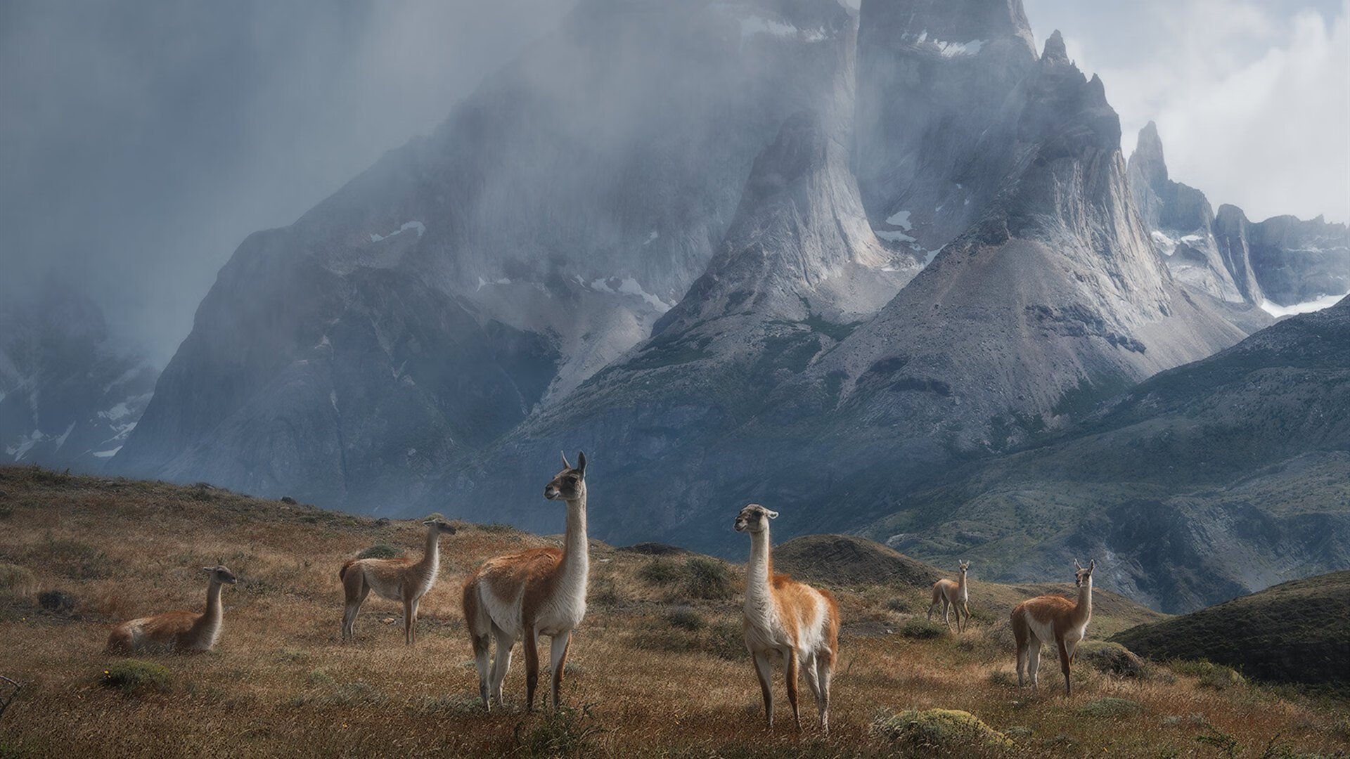 九游正版入口-切沃队主场不敌AC米兰，连续多轮不胜压力巨大，切沃足球俱乐部