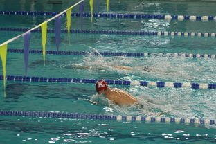 九游娱乐官方网站-世界青少年游泳接力锦标赛中国队强势出击，世界游泳锦标赛接力决赛